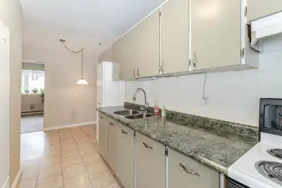 New Jade Wood Kitchen Countertop Sink Faucet Reno Room Rent, View more