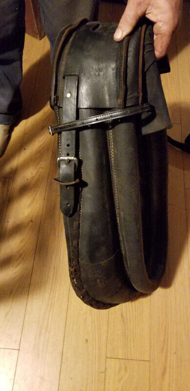 Horse collar in Equestrian & Livestock Accessories in Annapolis Valley - Image 3