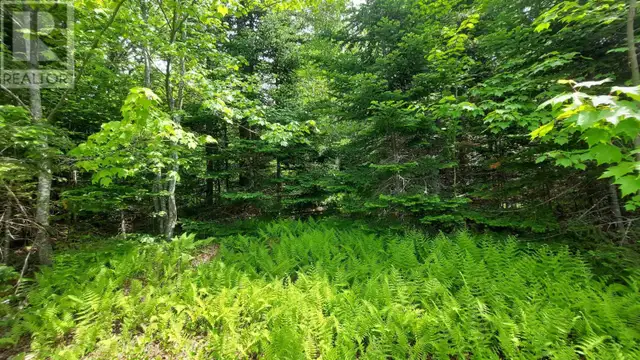 Lot 23 Kopylov Lane Kempt Road, Nova Scotia62863761847682124