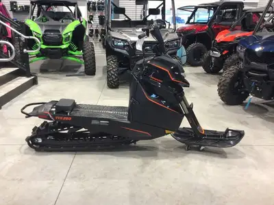 WS250 is a compact, lightweight, stand-up enduro-style snowmobile built for off-trail adventures and...