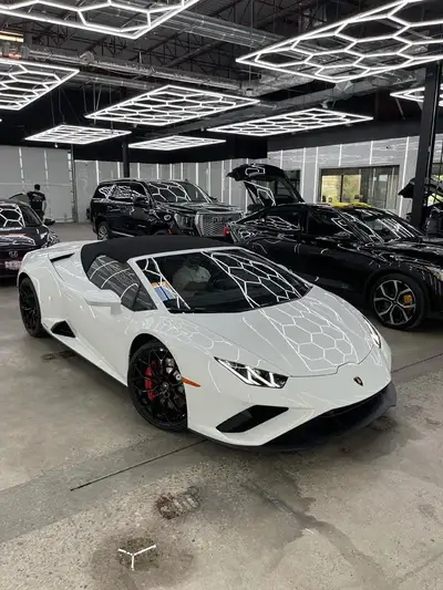 ANY TESLA FULL FRONT END PPF XPEL $1599 Plus tax (regular price $1799). SRS Tins has cemented its re...