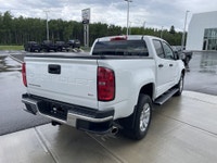 AMVIC Licensed Dealer 7 Colour Screen | WT Convenience Package | Heavy-Duty Trailering Package | Rea... (image 8)