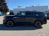 2024 Kia Sorento EX | BLIND SPOTS | ALLOYS | CARPLAY APPLE CAR PLAY, ANDROID AUTO, NO ACCIDENTS, ONE... (image 3)