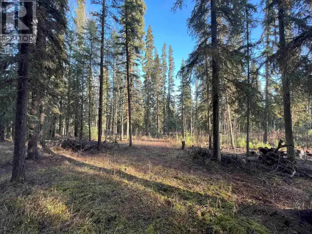 LOT 5 CLEARVIEW DRIVE Burns Lake, British Columbia in Land for Sale in Burns Lake - Image 10