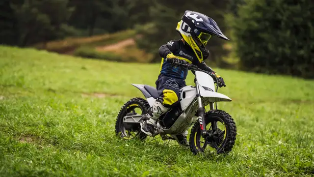 2027 Husqvarna Motorcycles EE 2 in Street, Cruisers & Choppers in Chilliwack - Image 3