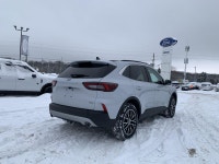 Hybrid, Navigation, Heated Seats, Adaptive Cruise Control, Remote Start, Android Auto, Power Liftgat... (image 4)