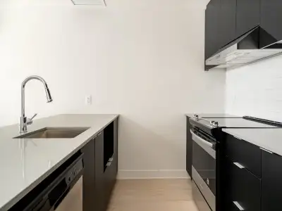 Logement apartment for rent, Studio, 3.5 3 1/2, 1 bedroom/chambre, Griffintown, Sud-Ouest, Canal Lac...