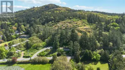 This unique property offers potential for renovation, a custom-built home or keep it as a holding pr...