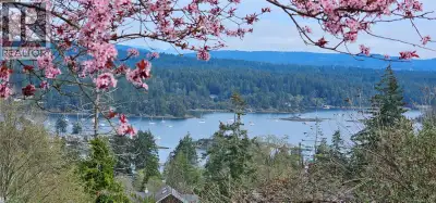 Introducing a fully serviced 0.78-acre lot in the heart of Salt Spring Island, within walking distan...