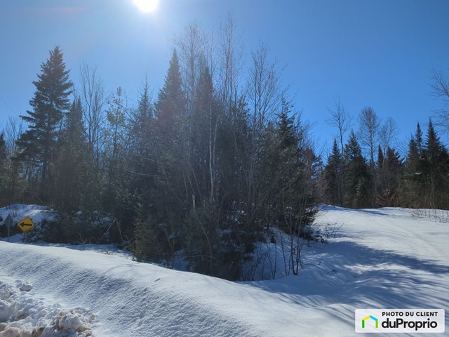 $72,500 - Residential Lot for sale in St-Gabriel-De-Brandon — photo 3