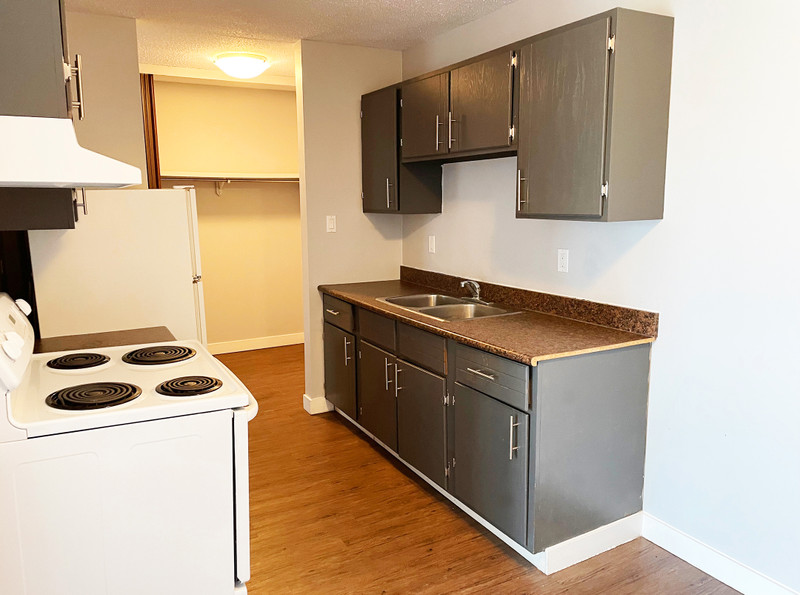 4 Nixon 1 Bedroom 1 Bath Apartment for Rent Long Term Rentals