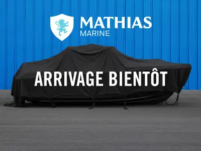 Remorque RICHELIEU REMORQUE PONTON MANITOU 25-26' 2025 Concessionnaire de bateaux et pontons neufs e...