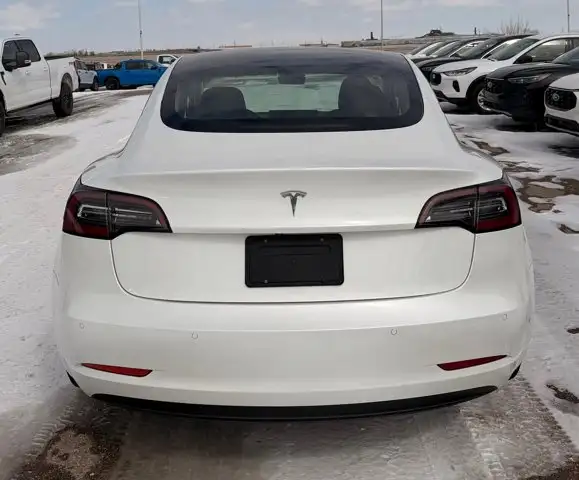2021 Tesla Model 3 STANDARD RANGE PL417010521065410563
