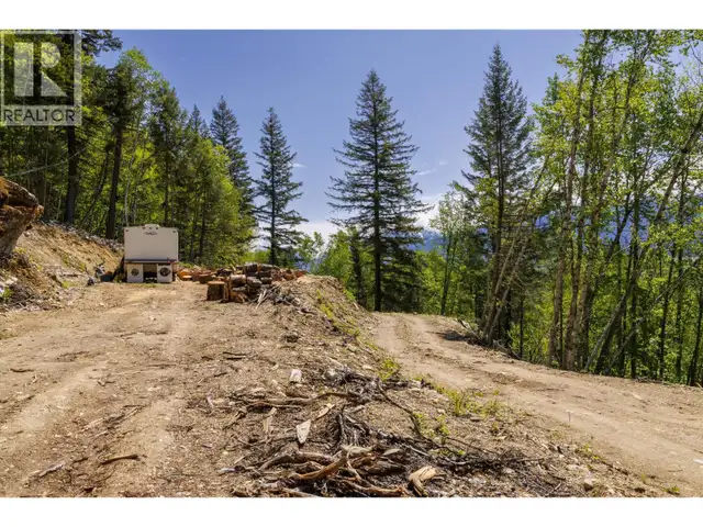 3260 MOUNTAIN VIEW ROAD McBride, British Columbia in Land for Sale in Quesnel - Image 5