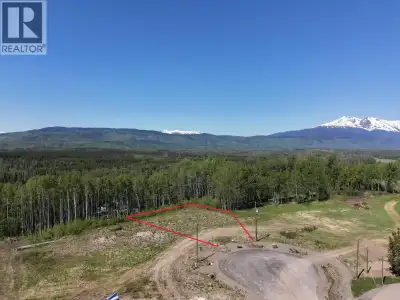 Welcome to Blissful Grove Lot 6, the Village of Telkwa’s newest development. Phase 1 offers a rare o...