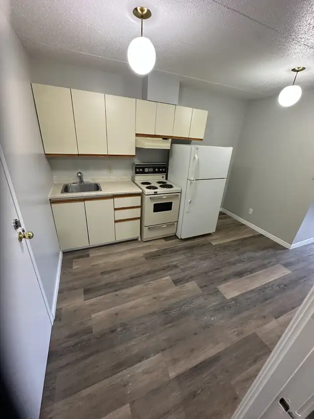 Main Floor Bachelor Available Now Minnow Lake