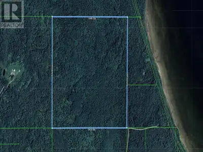 Discover 147 acres of pristine, untouched land near beautiful Lake Helen, offering a rare opportunit...
