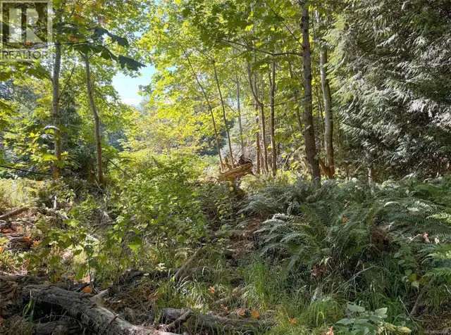 Lot 7 The Strand Gabriola Island, British Columbia in Land for Sale in Nanaimo - Image 16