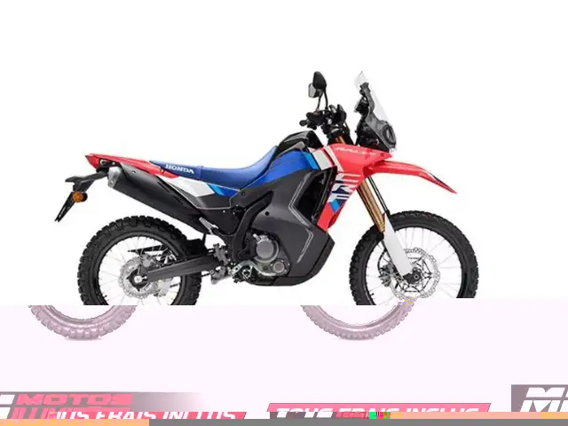 2025 HONDA CRF300L Rally ABS in Sport Touring in Laval / North Shore - Image 2