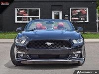 Welcome to 11 Motors. JUST IN-- PRICED TO SELL -- CLEAN CARFAX NO ACCIDENTS -- DEALER MAINTAINED 2.3... (image 1)