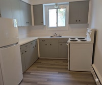 1 bedroom apartment for rent available in Ottawa's growing West-end - Close to Nepean & an easy comm... (image 2)