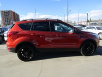 Thanks for viewing our South View Motors Inventory! This 2019 Ford Escape with 4WD Sport Appearance... (image 4)