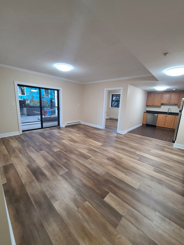 Modern Downtown Halifax Luxury - Unit 101 The James - Sept 7th! in Long Term Rentals in City of Halifax