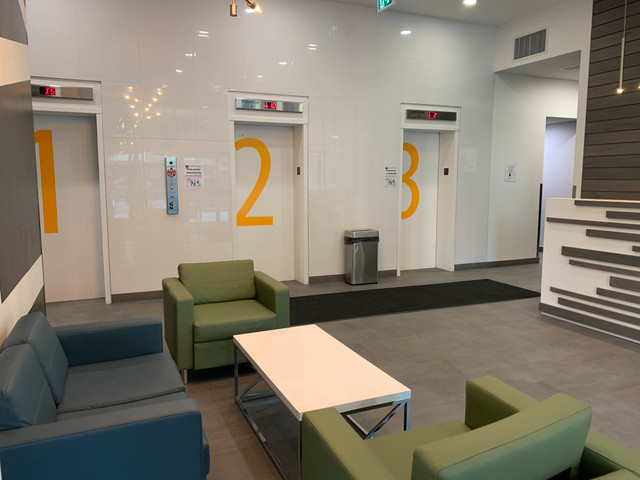 Management on site, renovated units, new elevators! in Long Term Rentals in Calgary