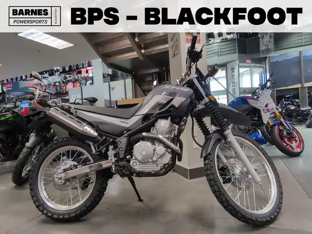 2025 Yamaha XT 250 in Street, Cruisers & Choppers in Calgary - Image 2