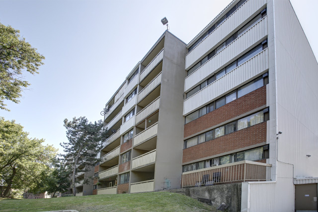 Oshawa 1 Bedroom Apartment for Rent - 525 St. Lawrence Street in Long Term Rentals in Oshawa / Durham Region - Image 4