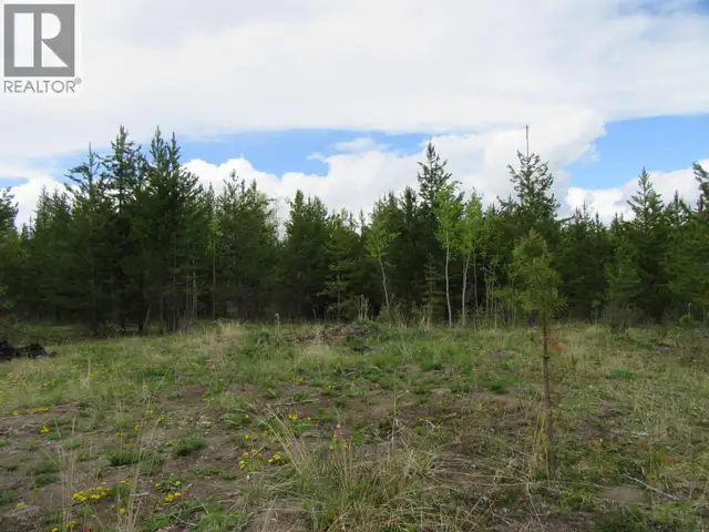 LOT B LONE BUTTE HORSE LAKE ROAD Lone Butte, British Columbia in Land for Sale in 100 Mile House - Image 13