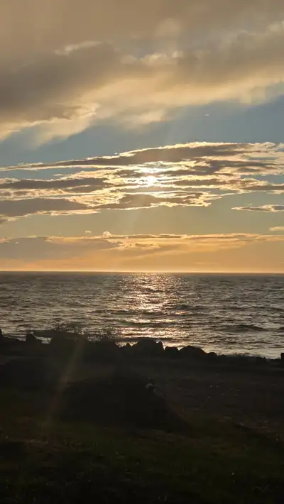 Looking for odd jobs  to make money for chrsitmas and bills., View more