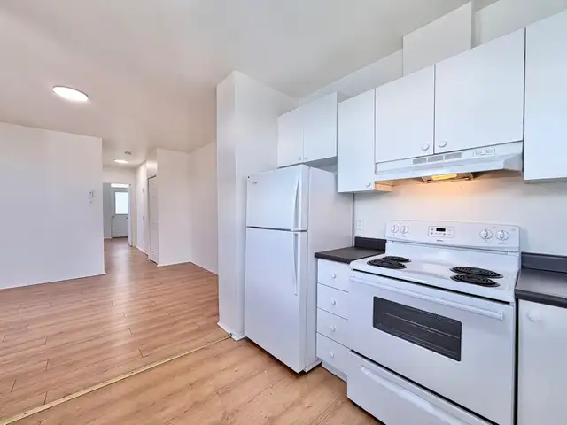 3 et demi - Hochelga - Électros inclus - Dispo maintenant! in Long Term Rentals in City of Montréal - Image 4