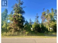 1060 6TH AVENUE Valemount, British Columbia Quesnel Cariboo Area Preview