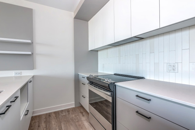 5.5 2 sdb VACANT-enorme condo luxe à louer à Outremont-Milhaus dans Locations longue durée  à Ville de Montréal - Image 2
