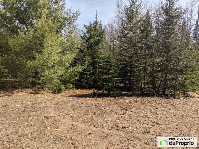 $60,000 - Residential Lot for sale in Entrelacs — photo 2