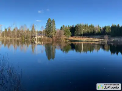 Immense terrain à vendre avec lac privé, puits artésien et poteaux d'hydro posé. À St-Cyprien en Bea...