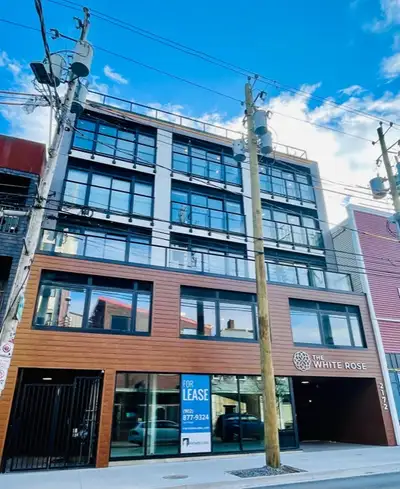 1 Bed/1 Bath Newly Renovated Apartments downtown
