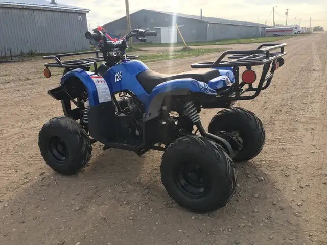 2025 BRAND NEW GIO BLAZER 125 ATV / QUAD / in ATVs in Brandon - Image 14