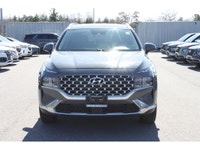 Experience comfort, versatility, and confident all-wheel-drive performance in this 2023 Hyundai Sant... (image 1)