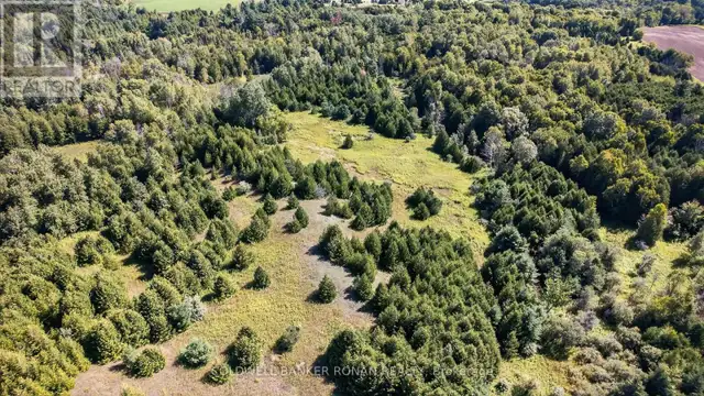 8155 19TH SIDE ROAD King (Schomberg), Ontario in Land for Sale in Barrie - Image 3