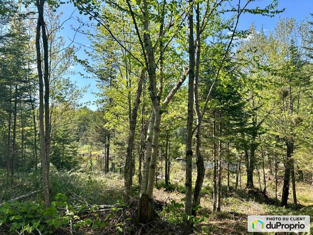 $100,000 - Residential Lot for sale in Lac-Aux-Sables — photo 3