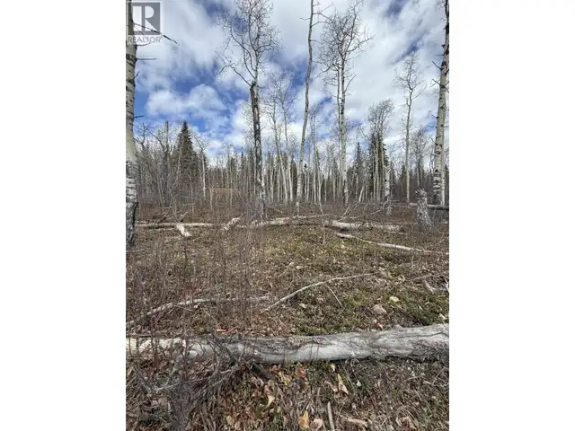 14035 COLLEYMOUNT ROAD Burns Lake, British Columbia in Land for Sale in Burns Lake - Image 4