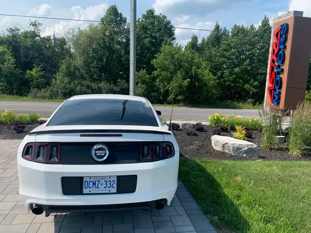 2013 Ford Mustang Boss 302 $36,85063738378775809123