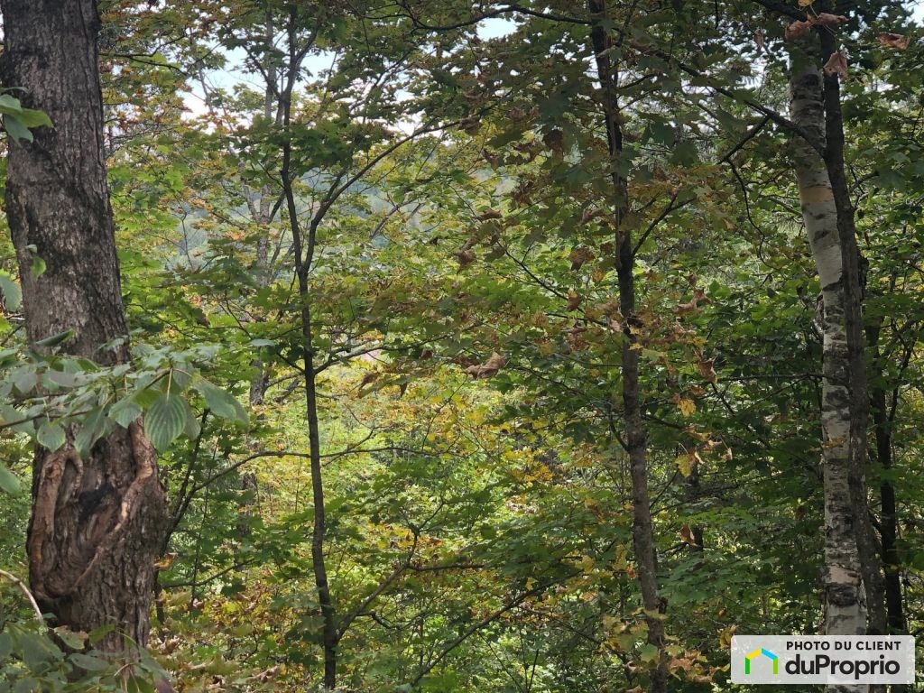 $90,000 - Residential Lot for sale in Ste-Marcelline-De-Kildare — photo 3