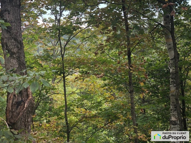 $90,000 - Residential Lot for sale in Ste-Marcelline-De-Kildare — photo 3