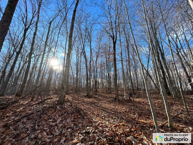 579 000$ - Terrain résidentiel à vendre à Chertsey in Land for Sale in Laurentides - Image 2