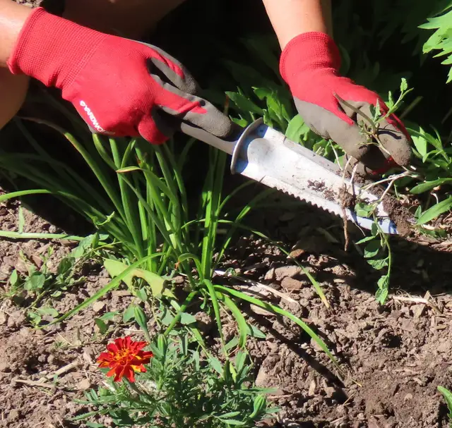 High-quality gardening services for you!
