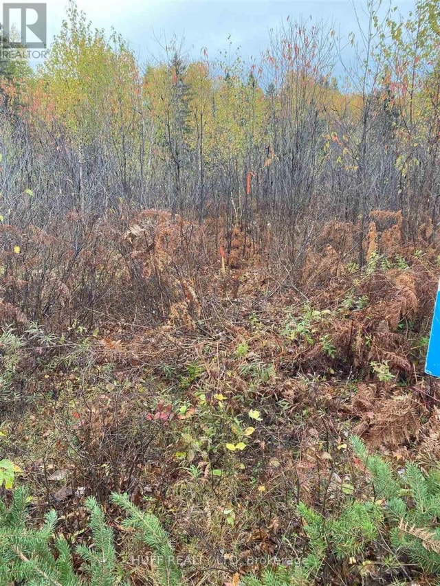 L1 CONCESSION 1, CATHARINE ROAD Timiskaming Remote Area, Ontario Land