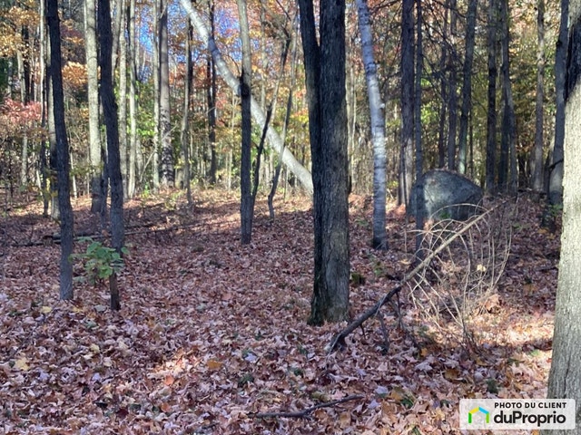 $539,000 - Wood Lot for sale in St-Lin-Laurentides — photo 2